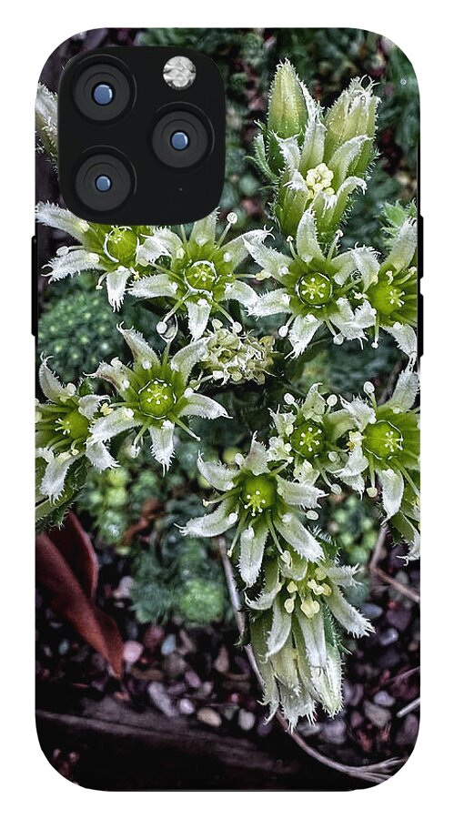 Green and white  - Phone Case