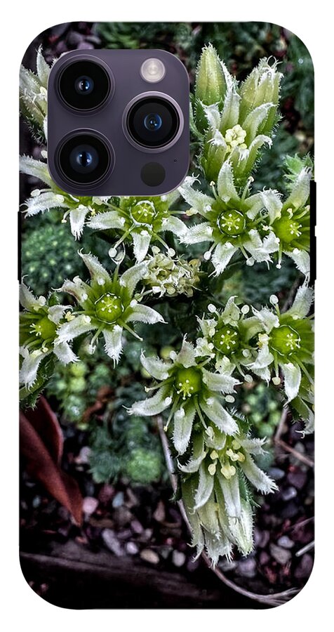 Green and white  - Phone Case
