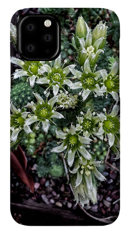 Green and white  - Phone Case