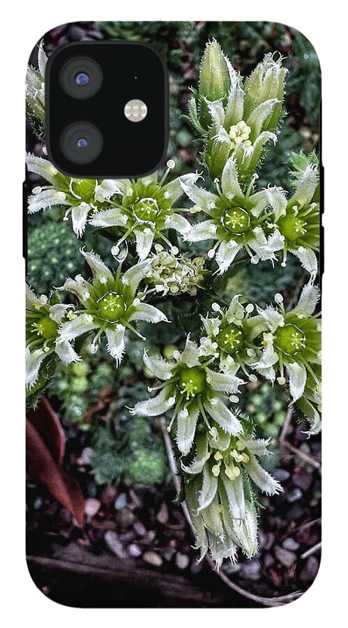 Green and white  - Phone Case