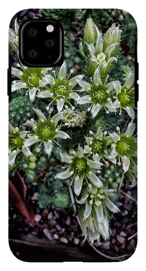 Green and white  - Phone Case