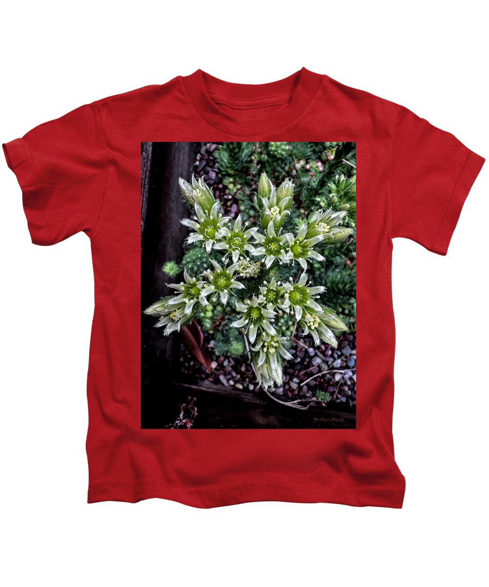Green and white  - Kids T-Shirt