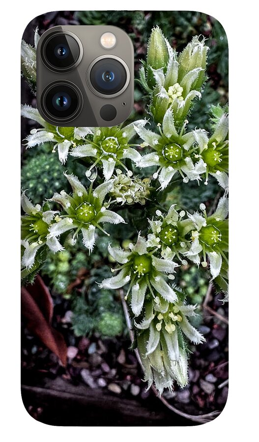 Green and white  - Phone Case