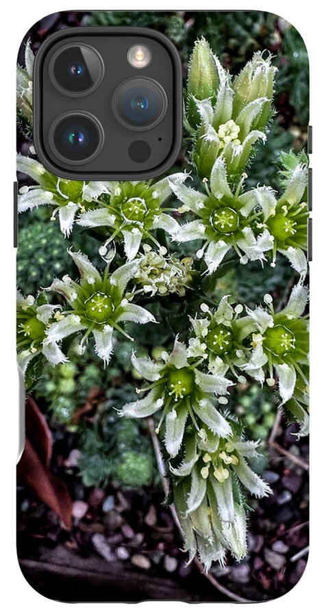 Green and white  - Phone Case
