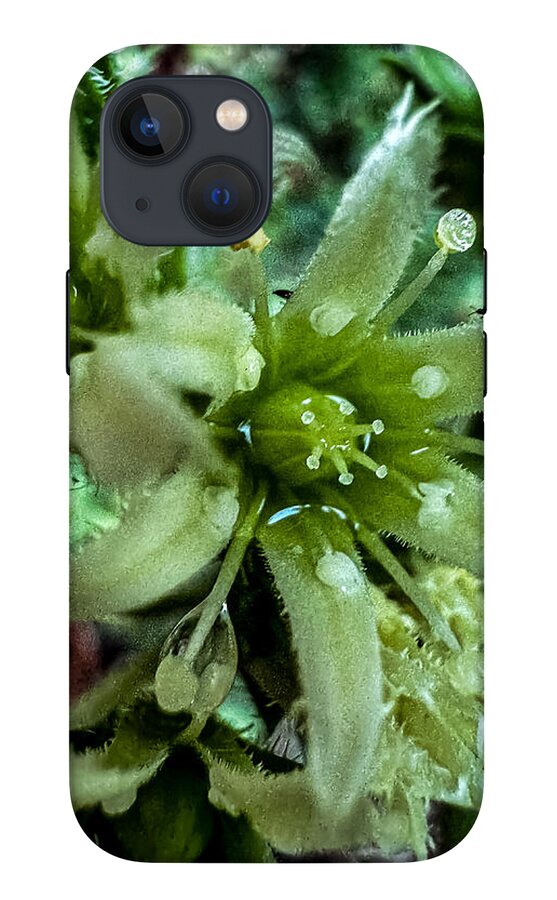 Green bloom - Phone Case