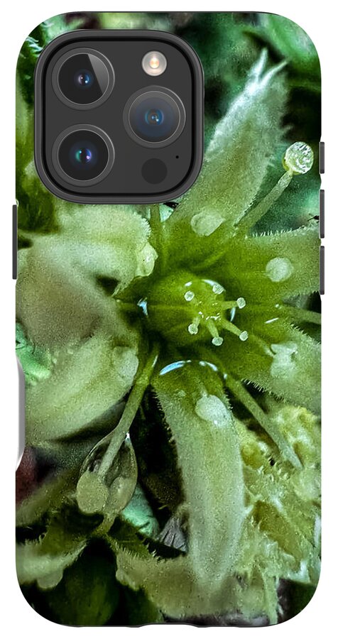 Green bloom - Phone Case