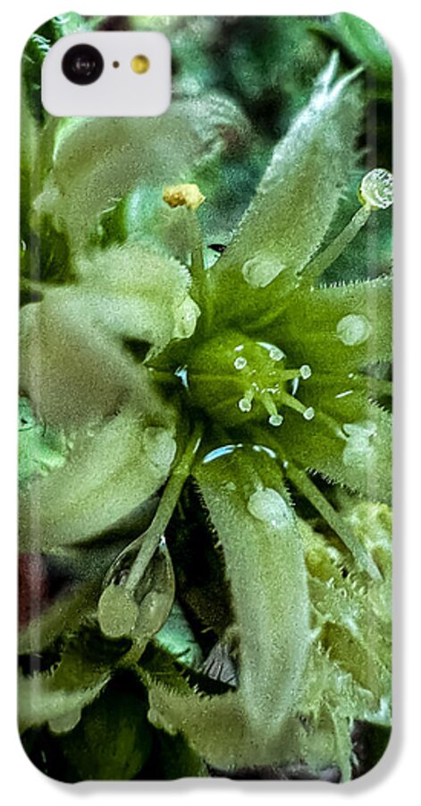 Green bloom - Phone Case
