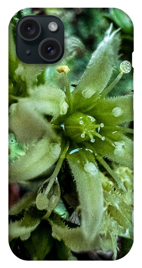 Green bloom - Phone Case