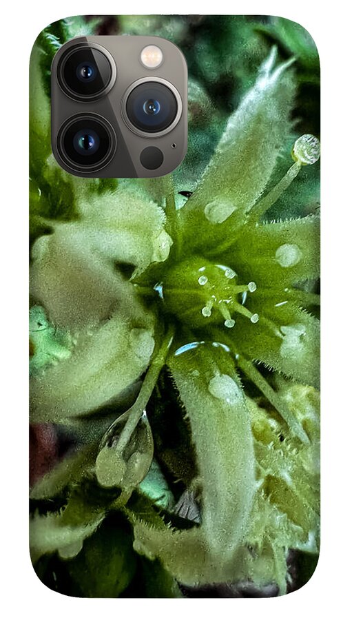 Green bloom - Phone Case