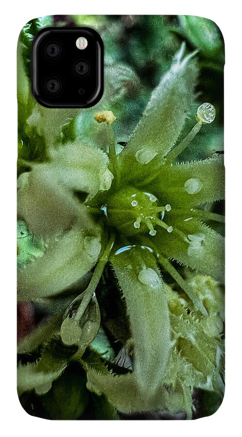 Green bloom - Phone Case