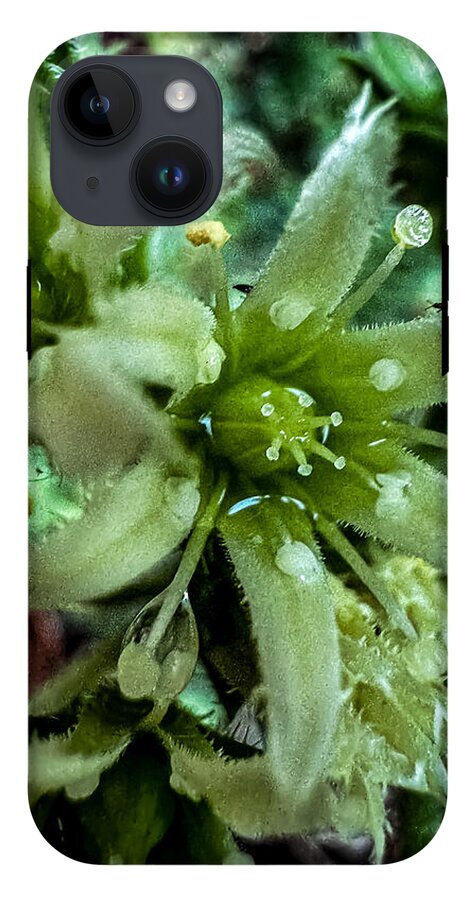 Green bloom - Phone Case