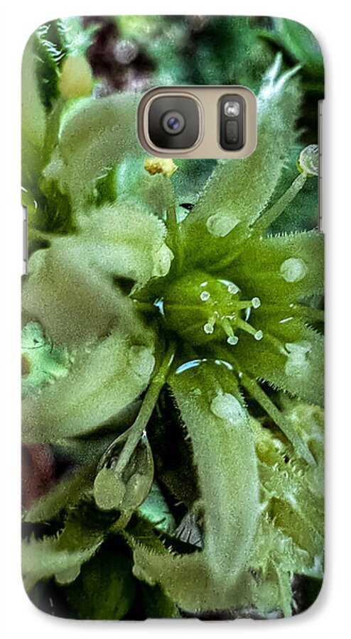 Green bloom - Phone Case