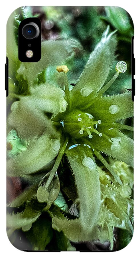 Green bloom - Phone Case