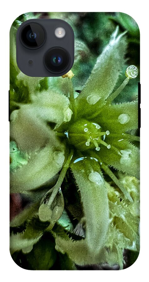 Green bloom - Phone Case