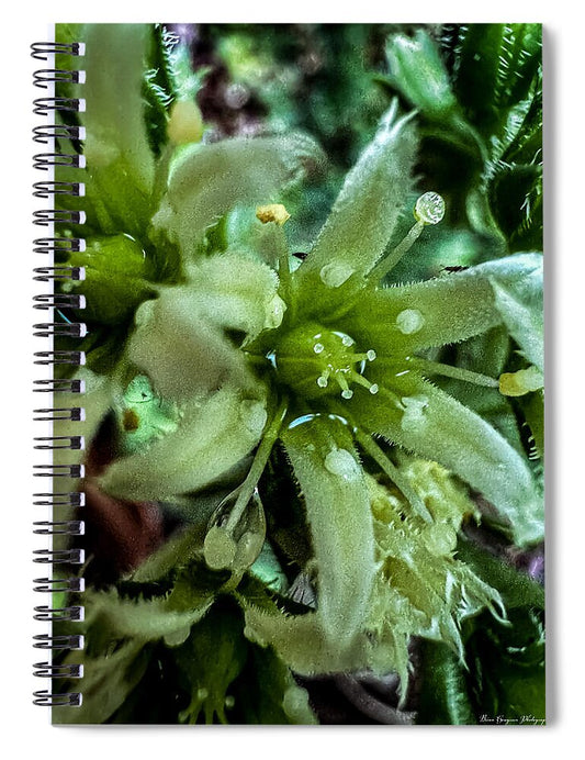 Green bloom - Spiral Notebook