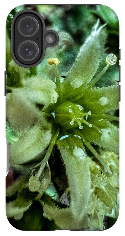 Green bloom - Phone Case