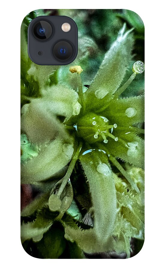 Green bloom - Phone Case