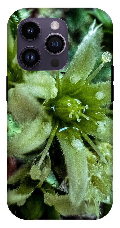 Green bloom - Phone Case