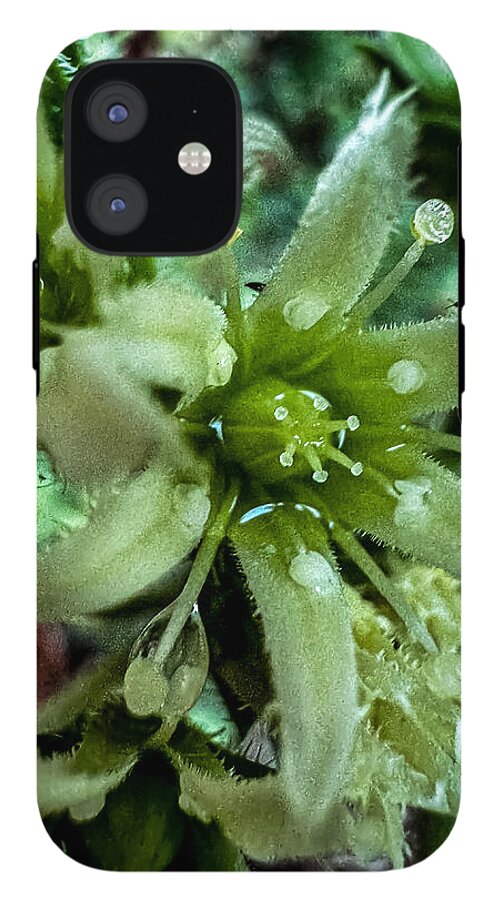 Green bloom - Phone Case
