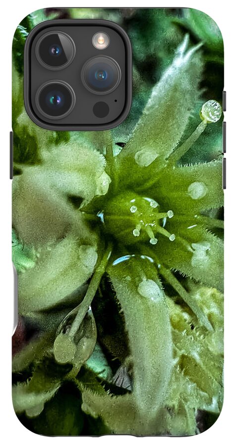 Green bloom - Phone Case