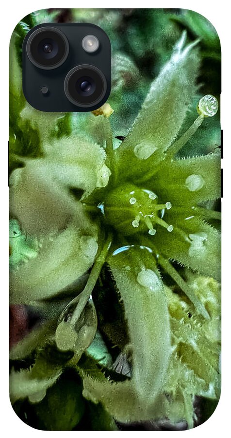 Green bloom - Phone Case