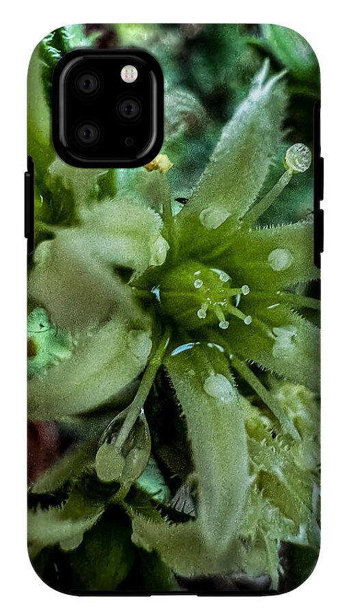 Green bloom - Phone Case