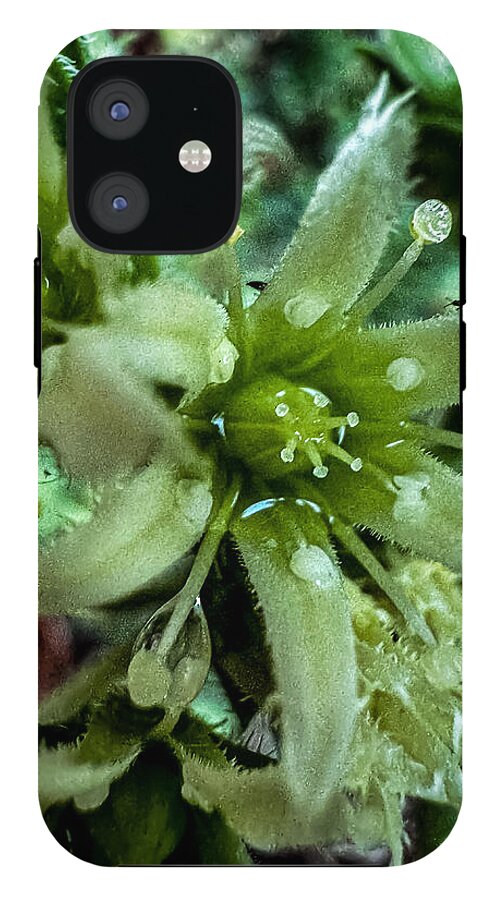 Green bloom - Phone Case