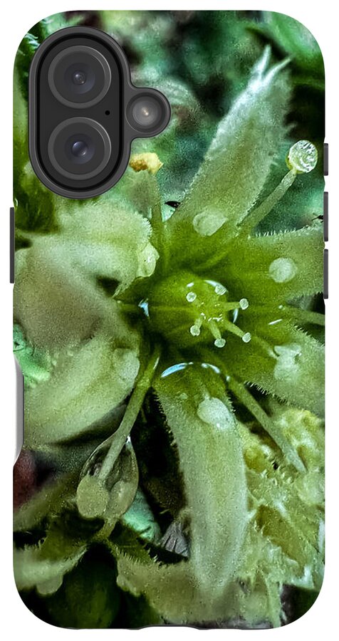 Green bloom - Phone Case