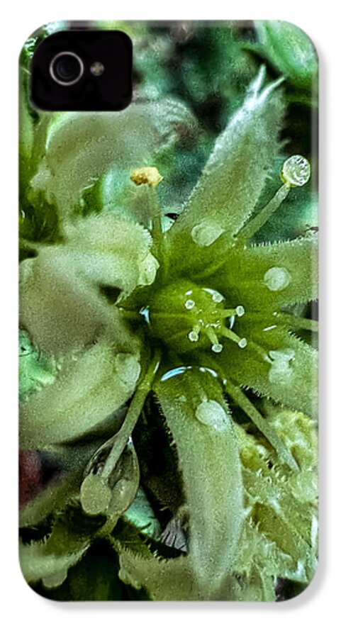 Green bloom - Phone Case