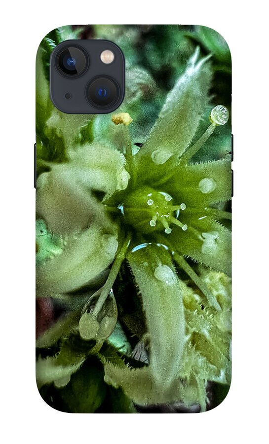 Green bloom - Phone Case