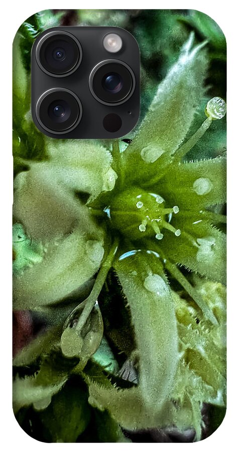 Green bloom - Phone Case