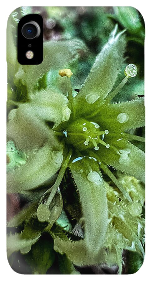 Green bloom - Phone Case