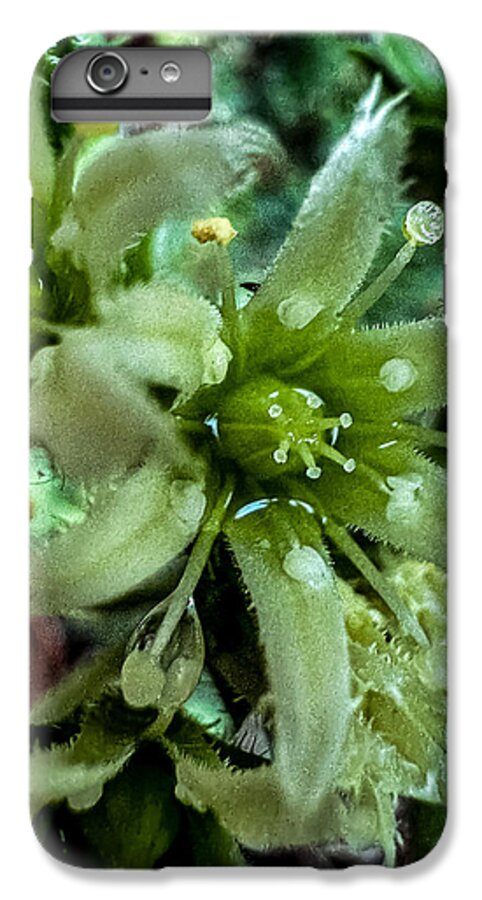 Green bloom - Phone Case