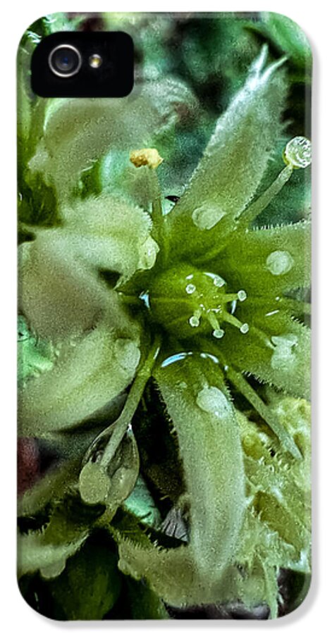 Green bloom - Phone Case