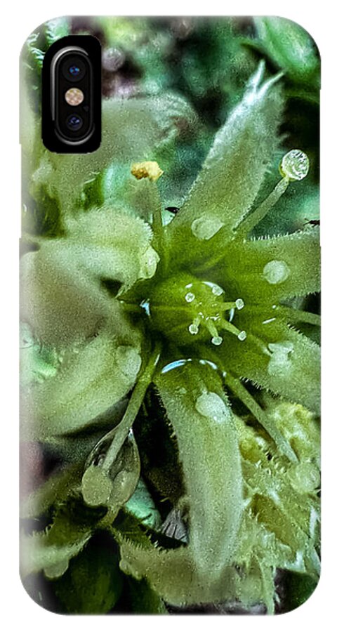 Green bloom - Phone Case