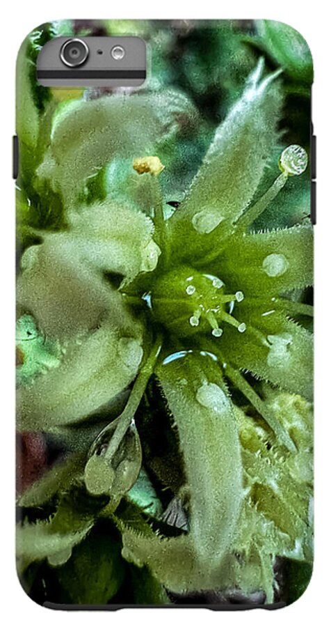 Green bloom - Phone Case