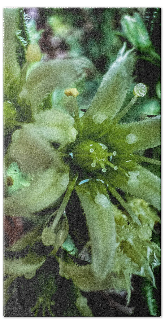 Green bloom - Beach Towel