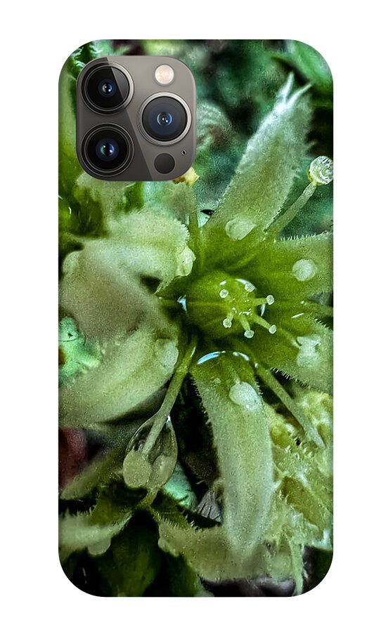 Green bloom - Phone Case