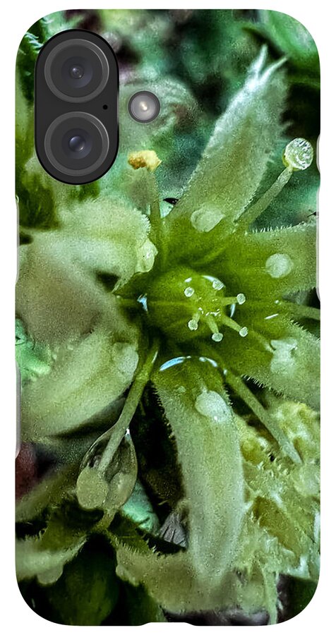 Green bloom - Phone Case
