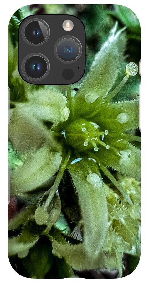 Green bloom - Phone Case