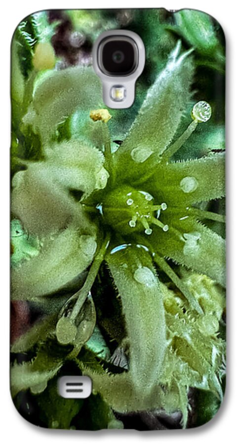 Green bloom - Phone Case