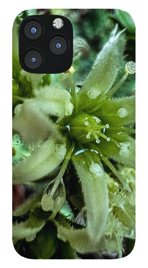 Green bloom - Phone Case