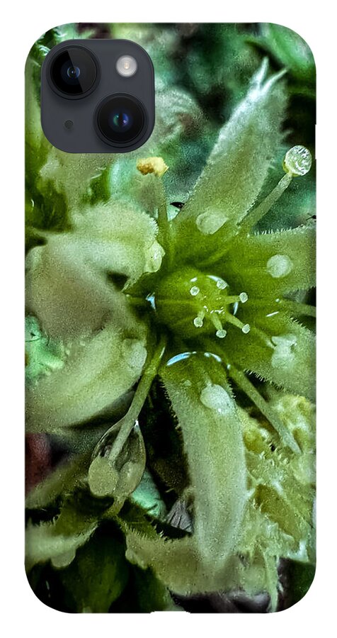 Green bloom - Phone Case