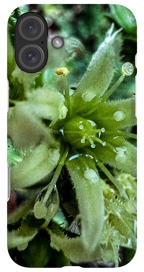 Green bloom - Phone Case