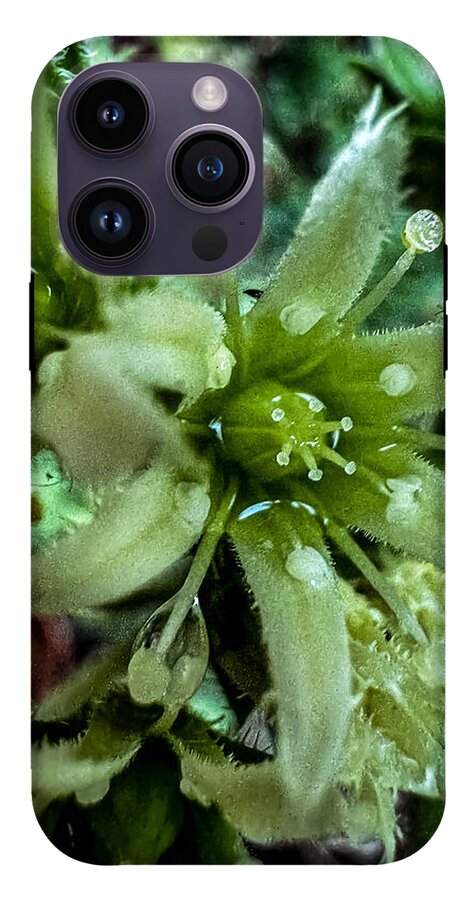 Green bloom - Phone Case