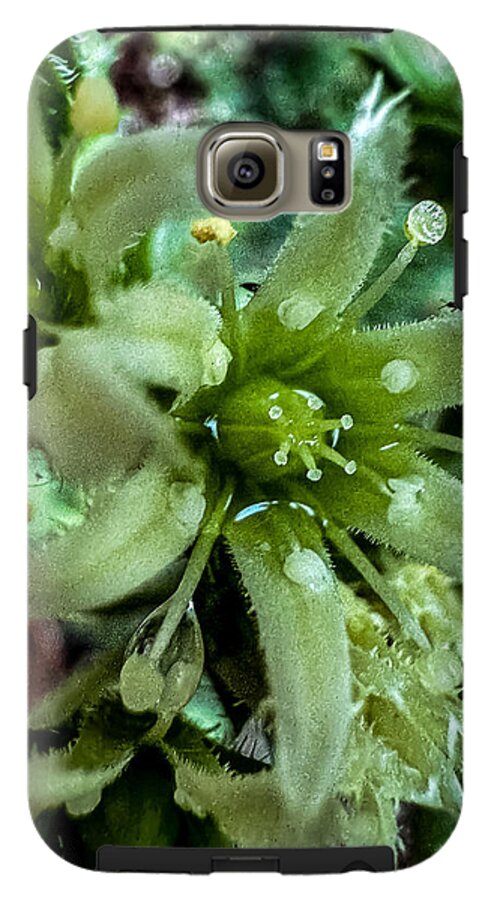 Green bloom - Phone Case
