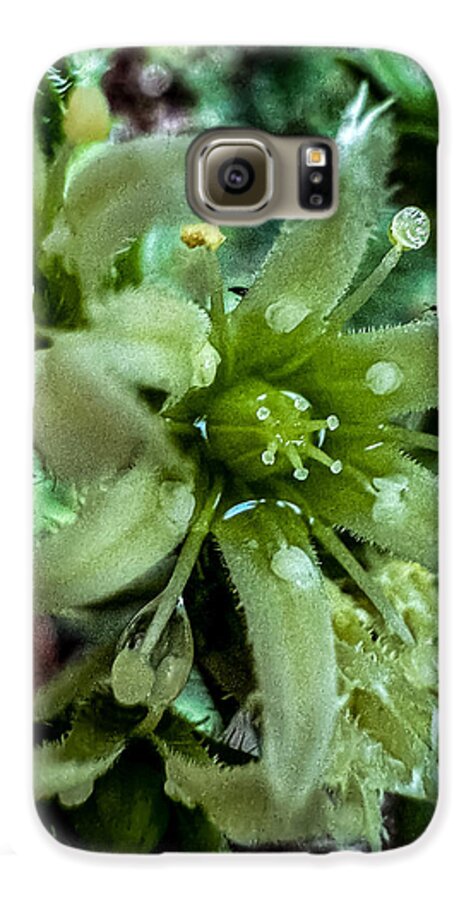 Green bloom - Phone Case