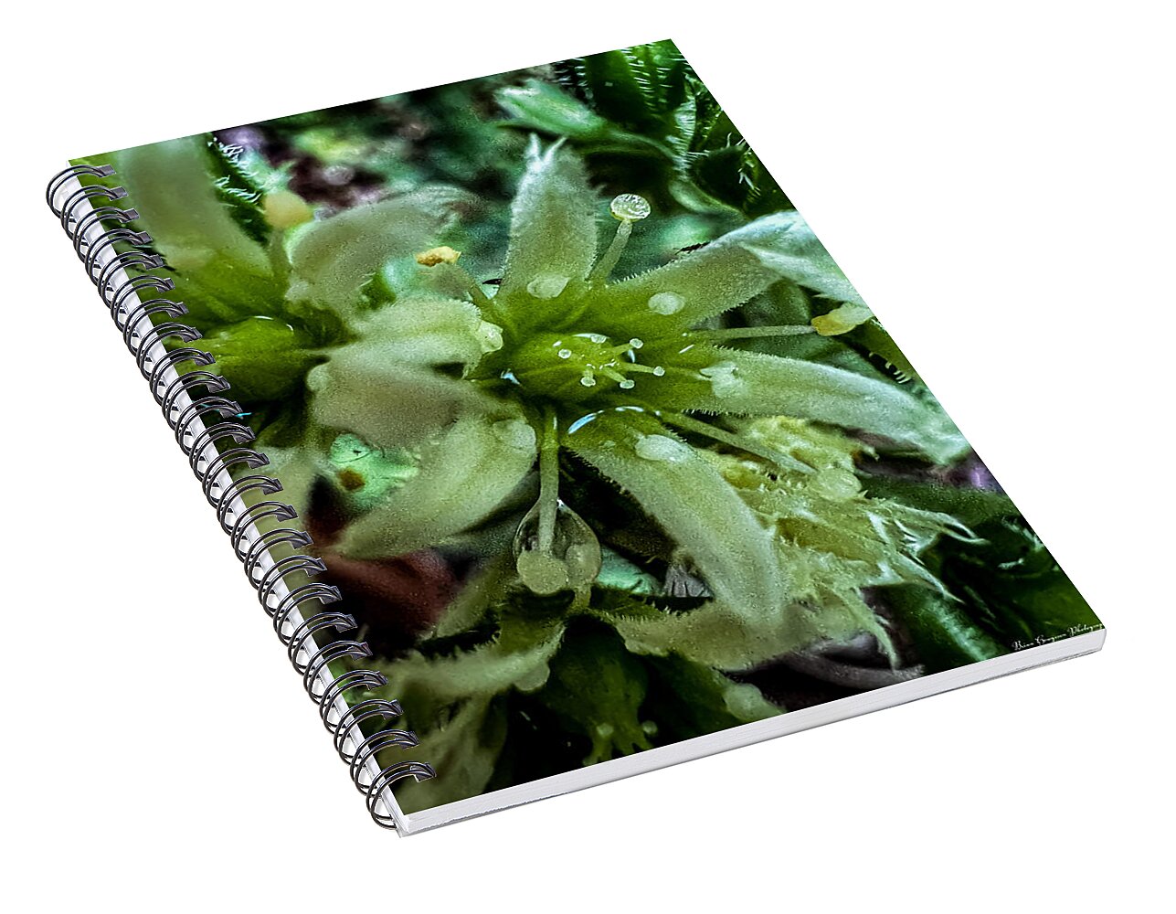 Green bloom - Spiral Notebook