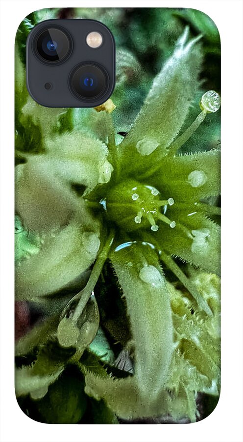 Green bloom - Phone Case