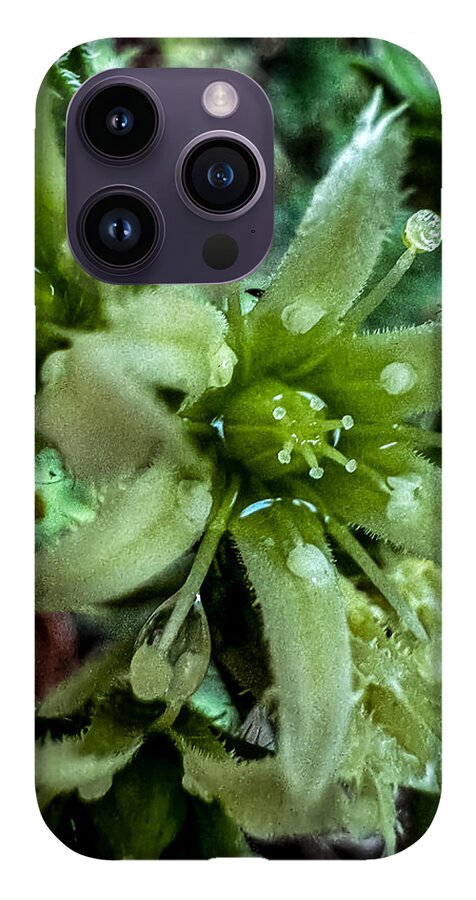 Green bloom - Phone Case